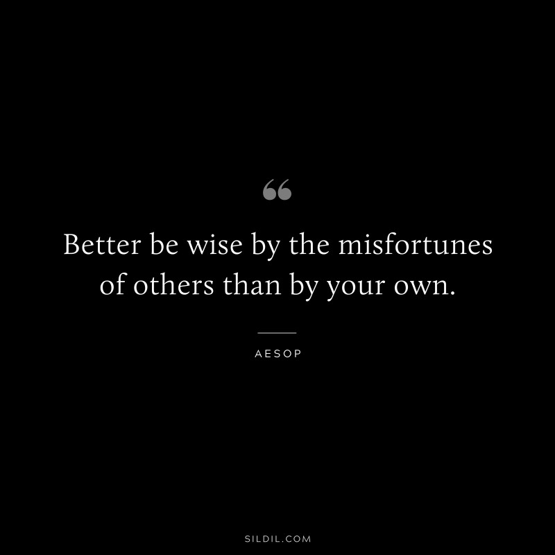 Better be wise by the misfortunes of others than by your own. ― Aesop
