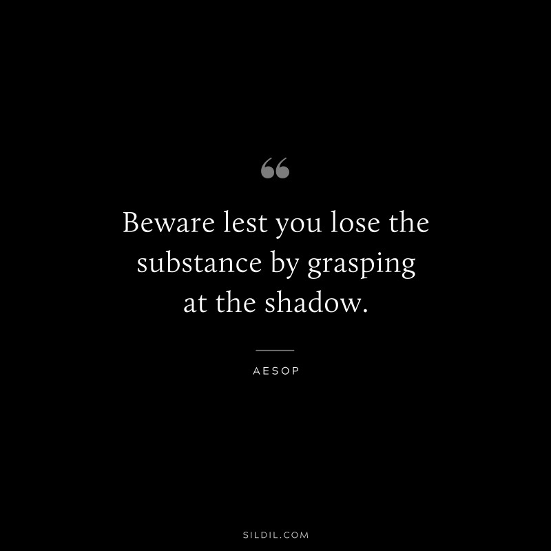 Beware lest you lose the substance by grasping at the shadow. ― Aesop
