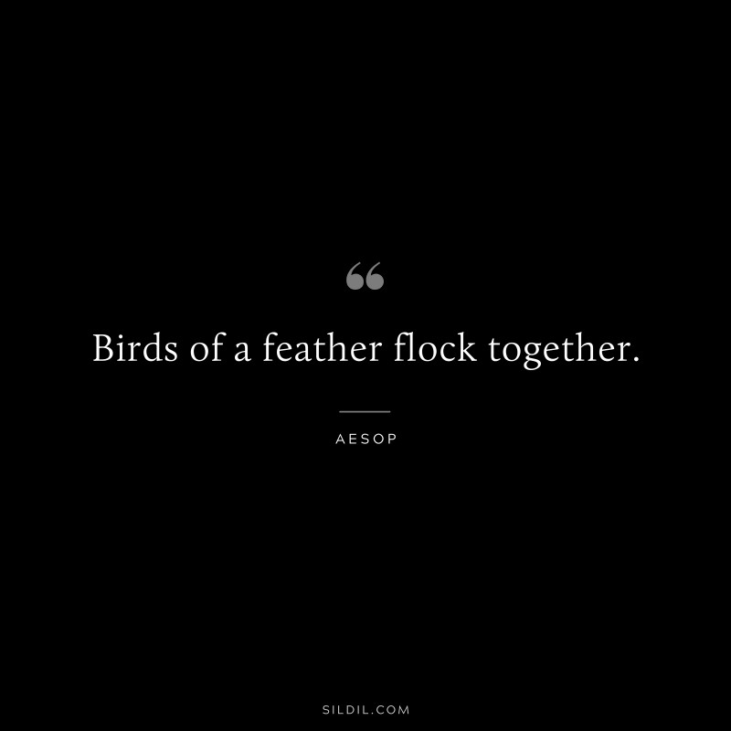 Birds of a feather flock together. ― Aesop