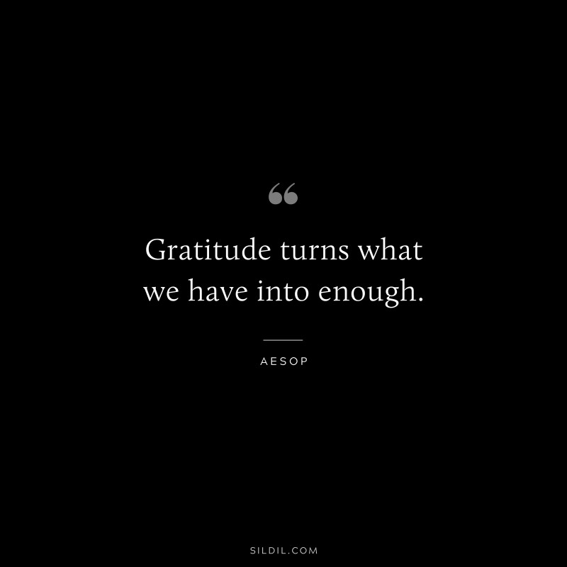 Gratitude turns what we have into enough. ― Aesop