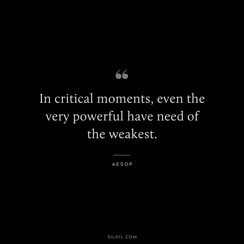 In critical moments, even the very powerful have need of the weakest. ― Aesop