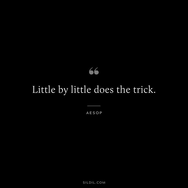 Little by little does the trick. ― Aesop