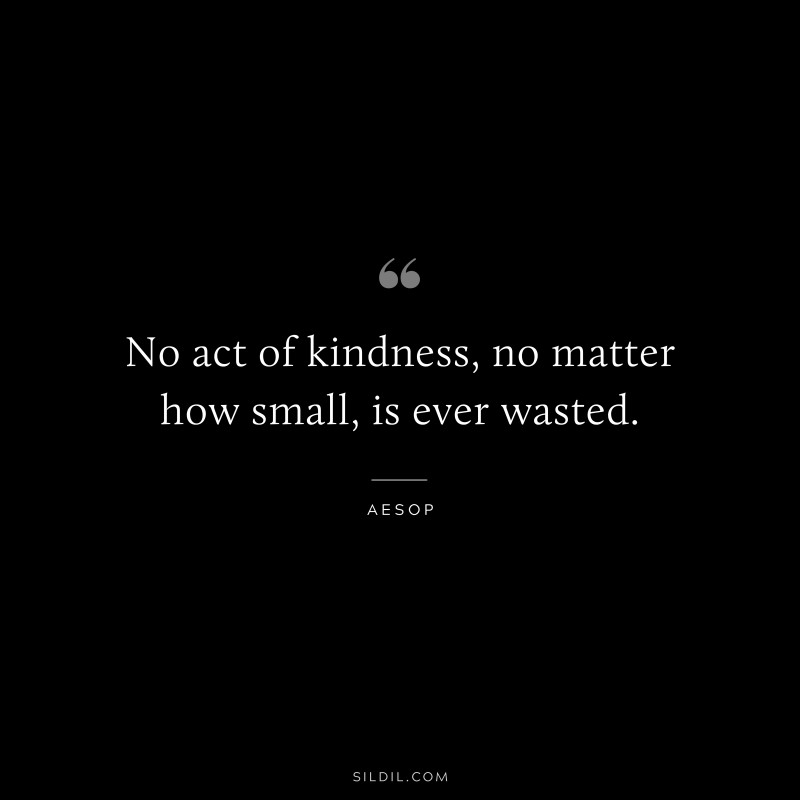 No act of kindness, no matter how small, is ever wasted. ― Aesop