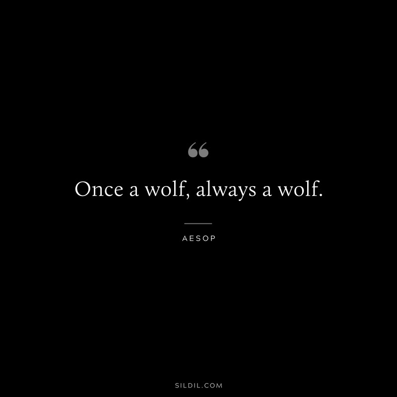 Once a wolf, always a wolf. ― Aesop