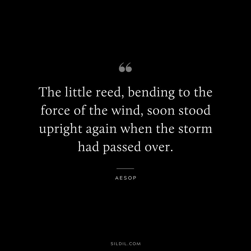 The little reed, bending to the force of the wind, soon stood upright again when the storm had passed over. ― Aesop