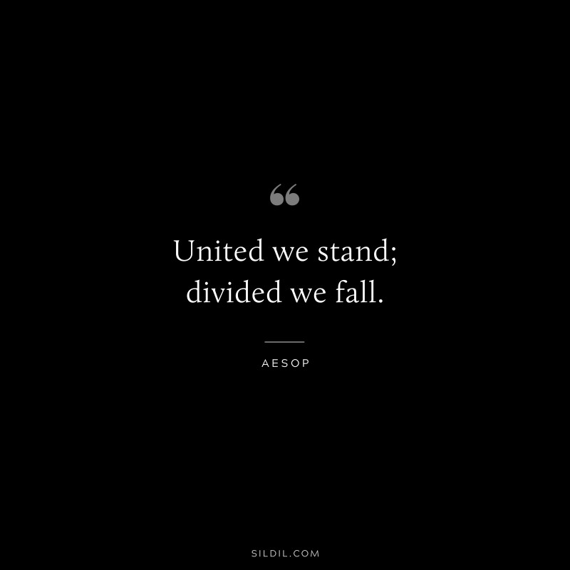 United we stand; divided we fall. ― Aesop