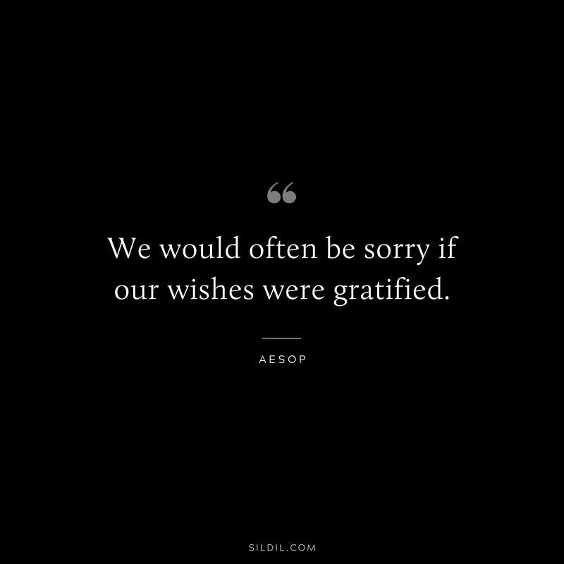 We would often be sorry if our wishes were gratified. ― Aesop