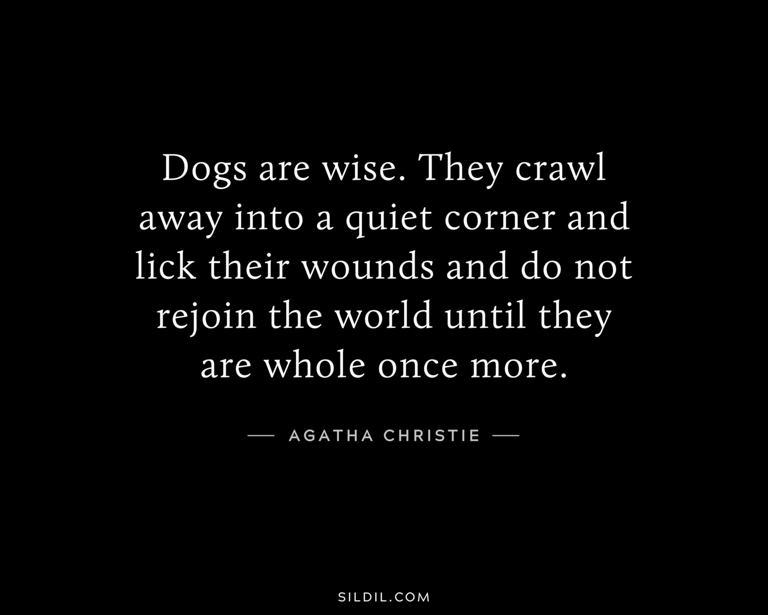 Dogs are wise. They crawl away into a quiet corner and lick their wounds and do not rejoin the world until they are whole once more.