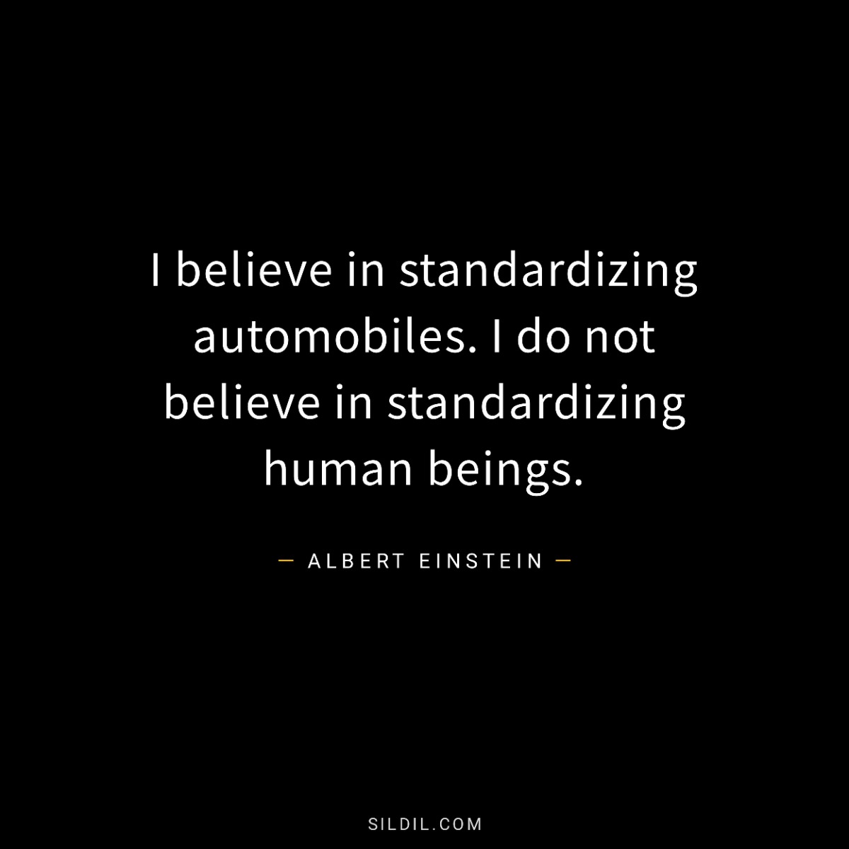 I believe in standardizing automobiles. I do not believe in standardizing human beings.