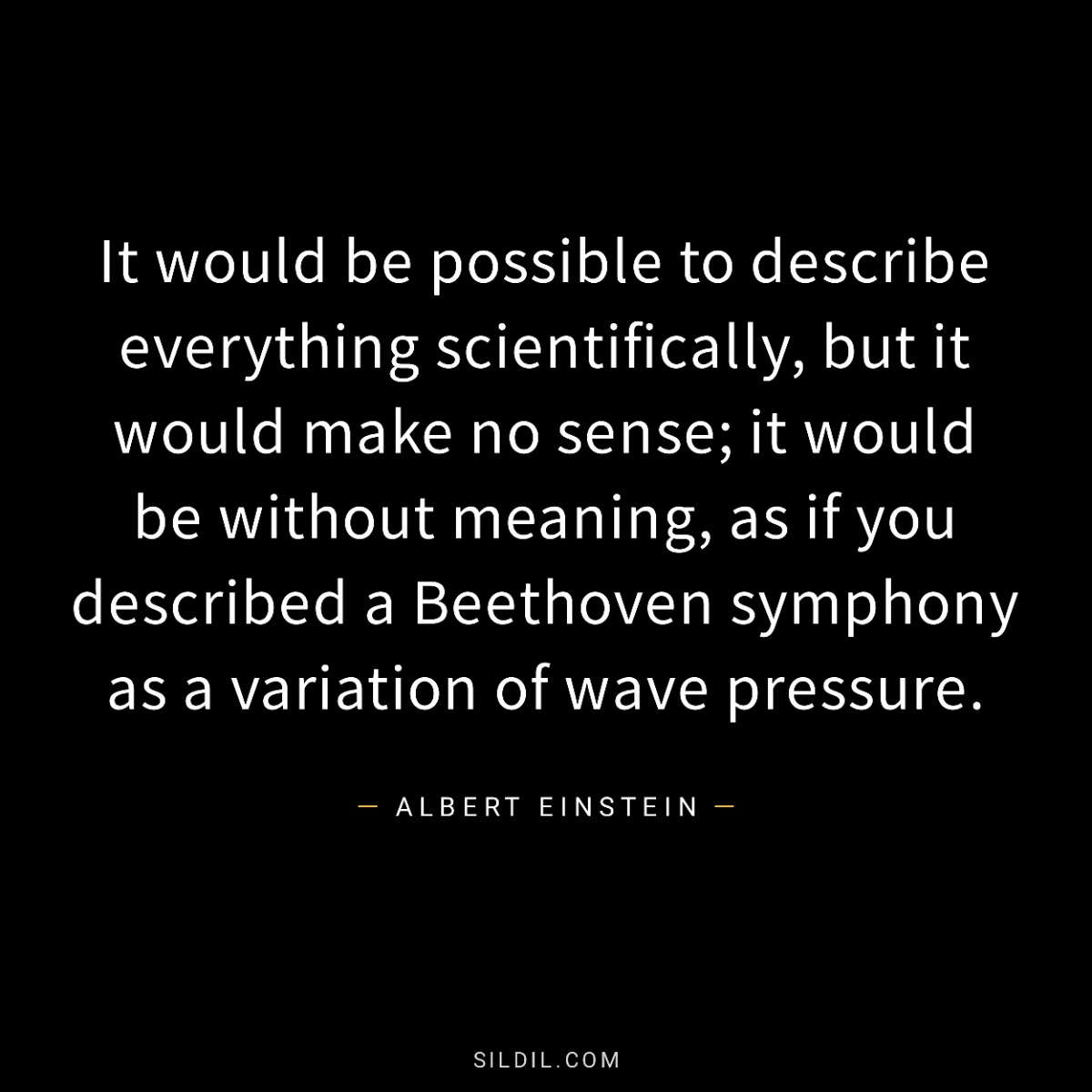 It would be possible to describe everything scientifically, but it would make no sense; it would be without meaning, as if you described a Beethoven symphony as a variation of wave pressure.