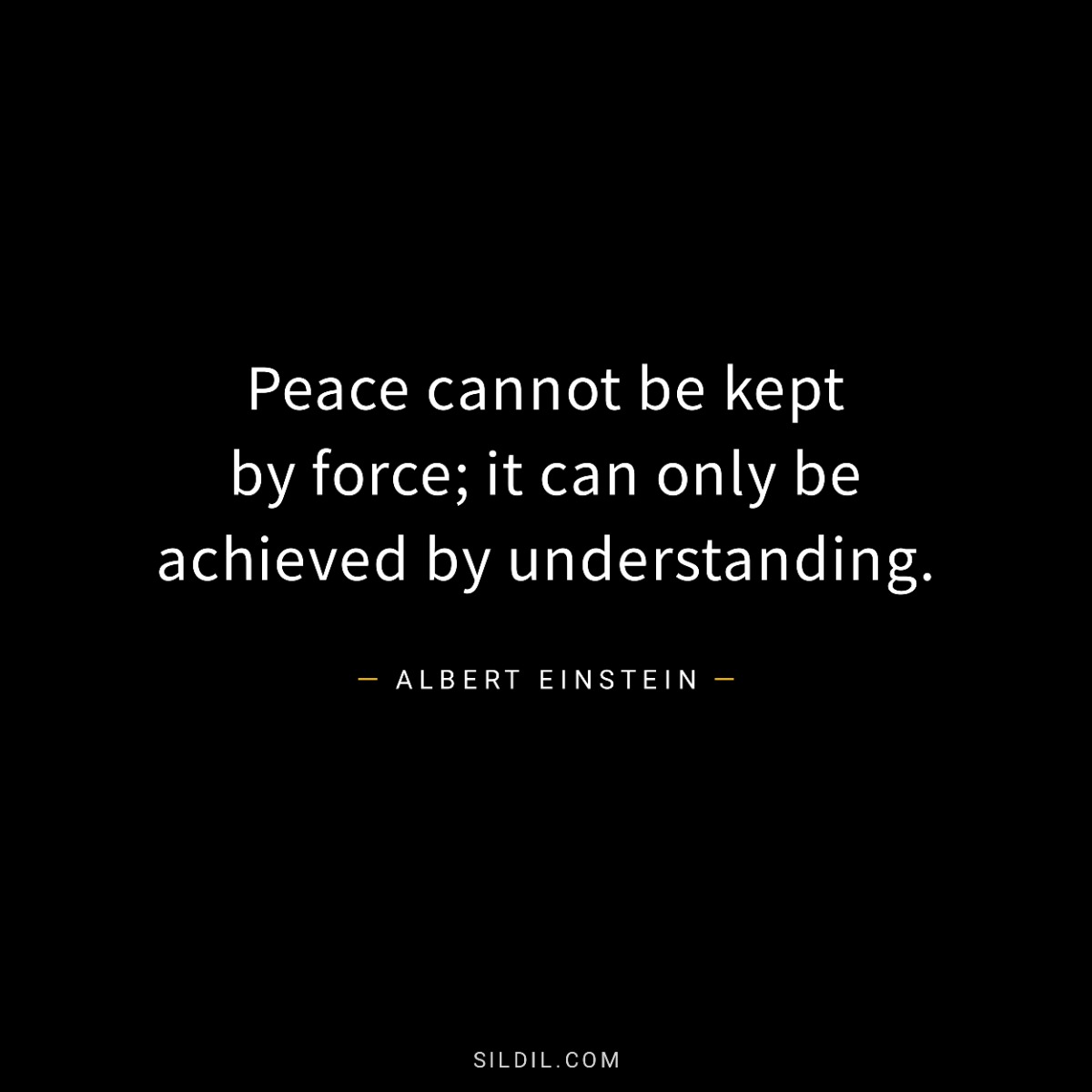 Peace cannot be kept by force; it can only be achieved by understanding.
