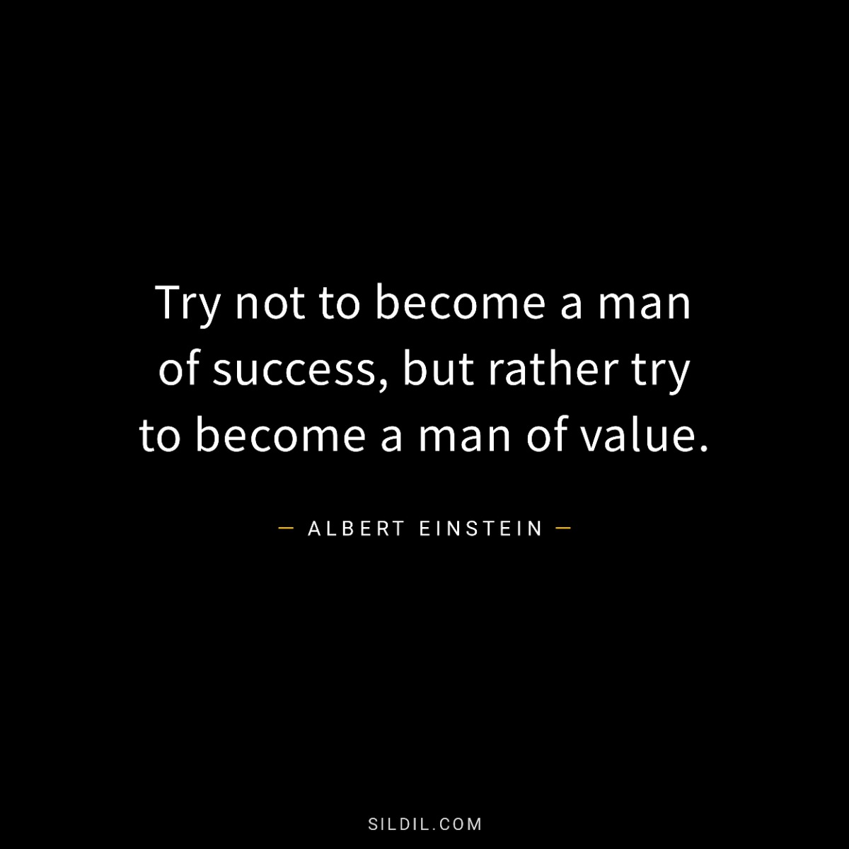 Try not to become a man of success, but rather try to become a man of value.