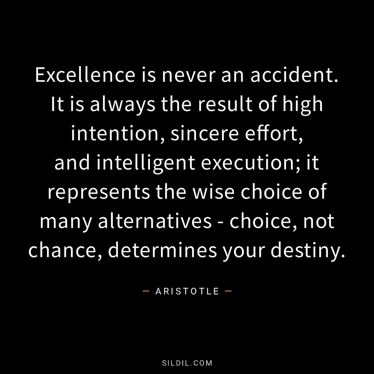 Excellence is never an accident. It is always the result of high intention, sincere effort, and intelligent execution; it represents the wise choice of many alternatives - choice, not chance, determines your destiny.