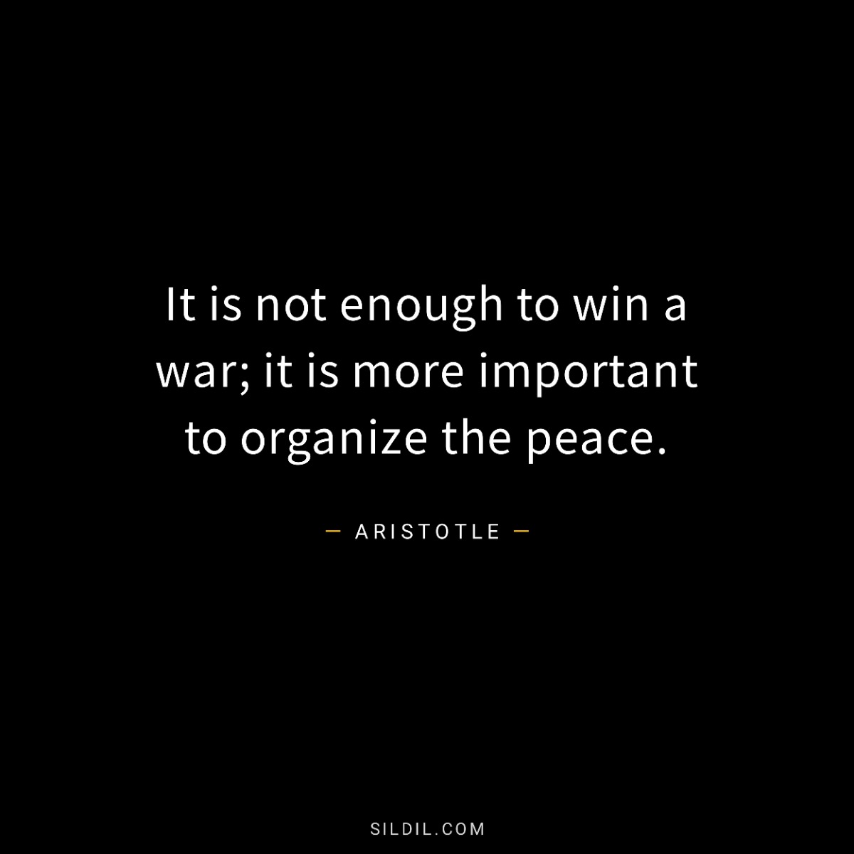 It is not enough to win a war; it is more important to organize the peace.