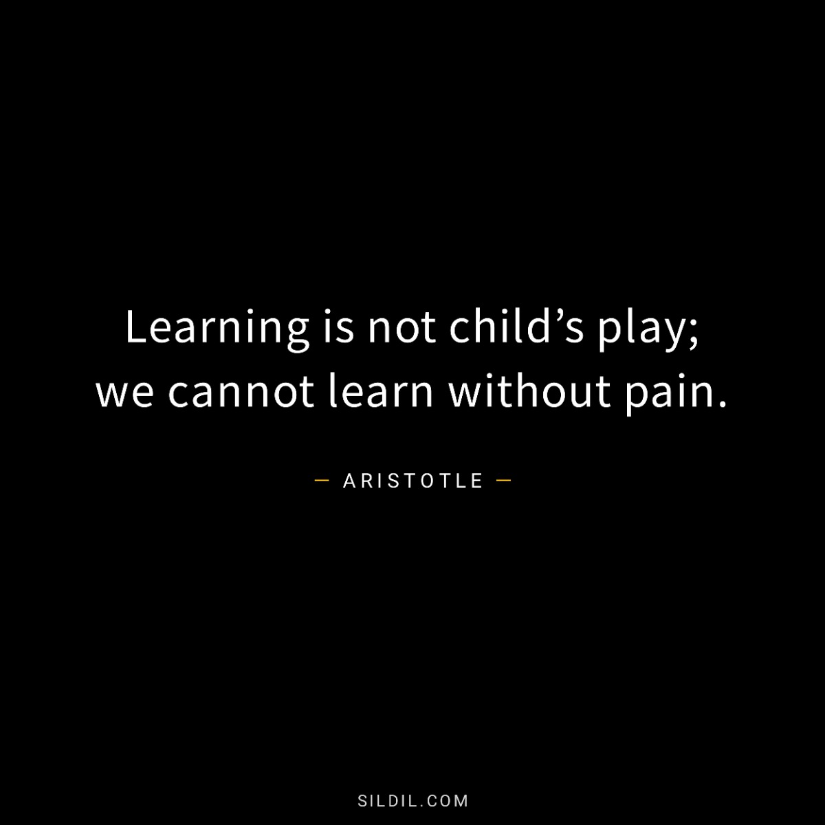 Learning is not child’s play; we cannot learn without pain.
