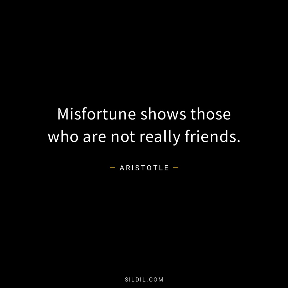 Misfortune shows those who are not really friends.