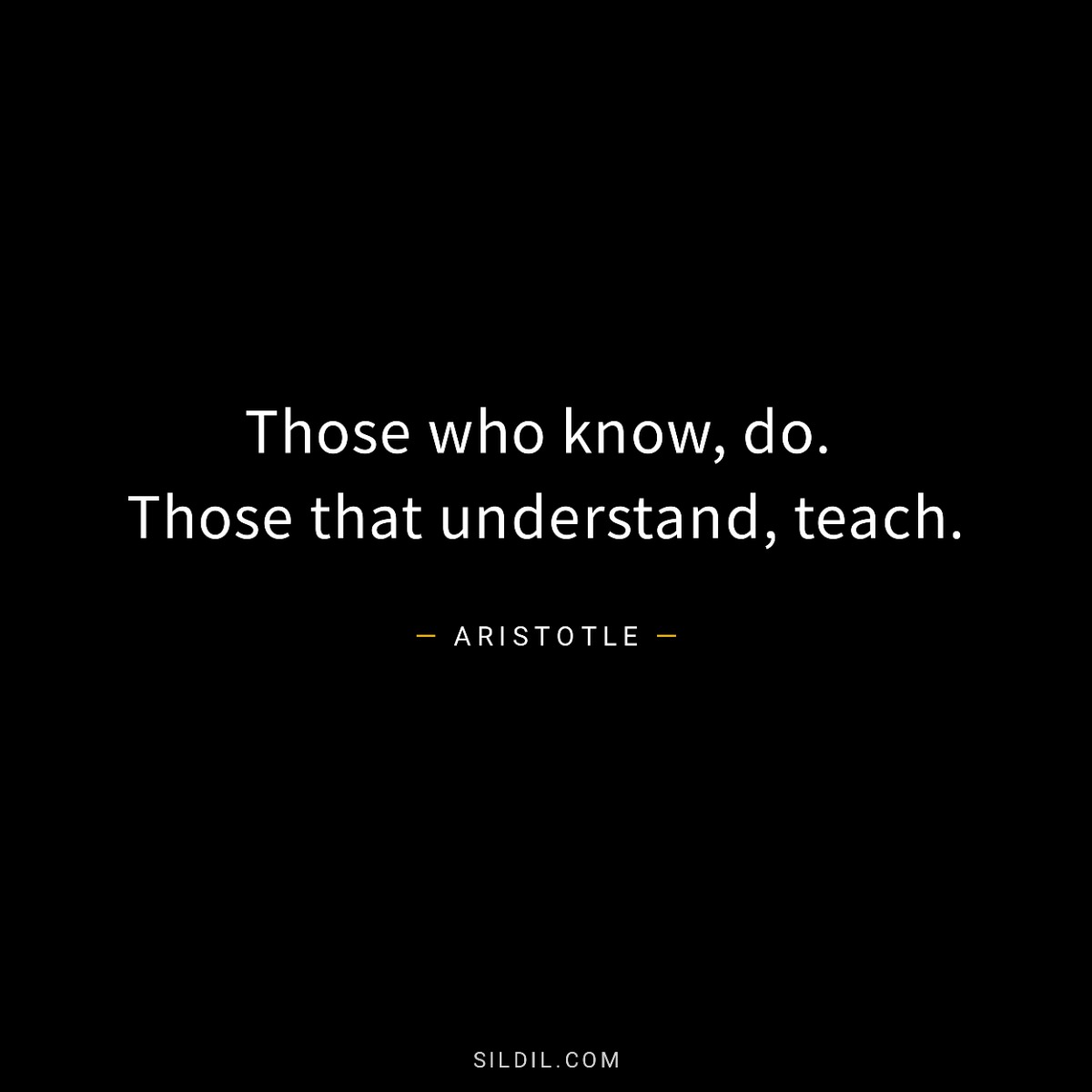 Those who know, do. Those that understand, teach.
