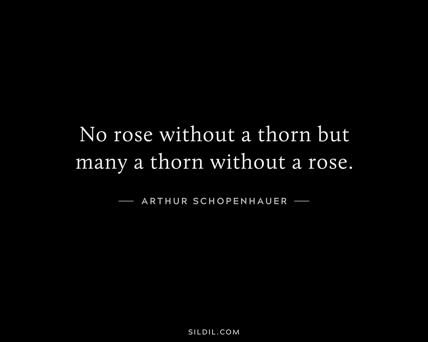 No rose without a thorn but many a thorn without a rose.