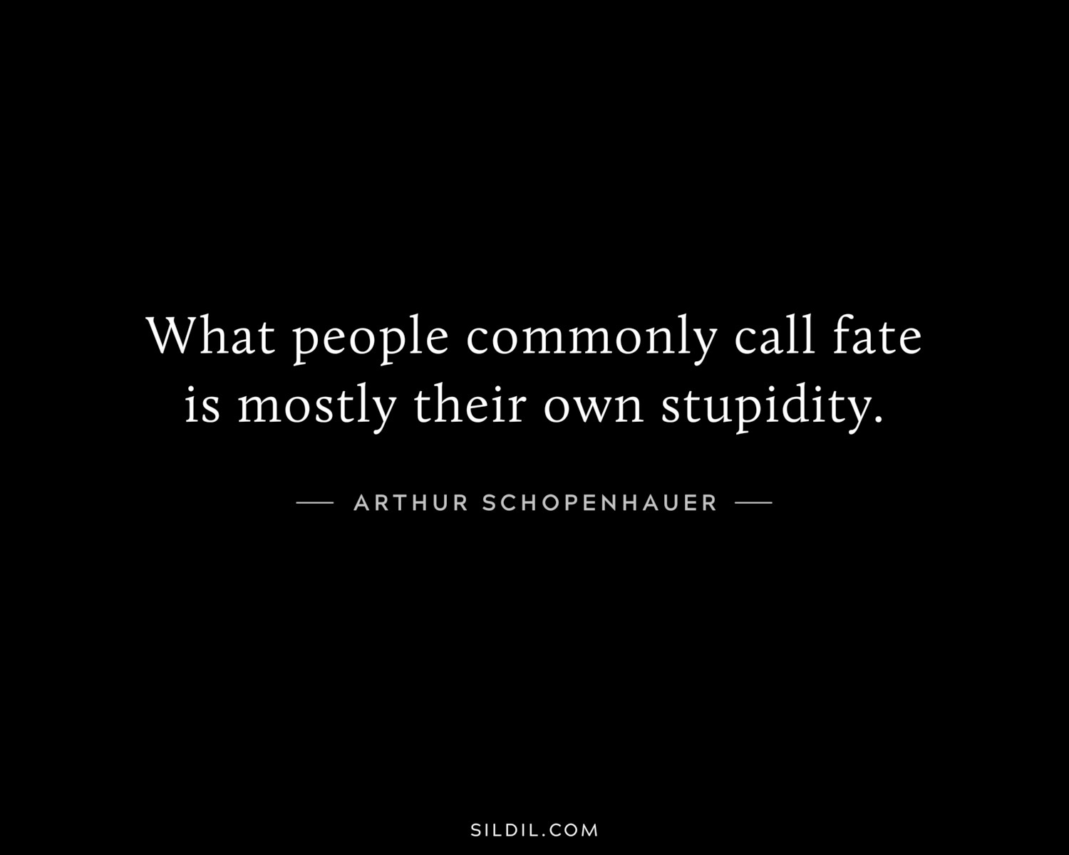 What people commonly call fate is mostly their own stupidity.