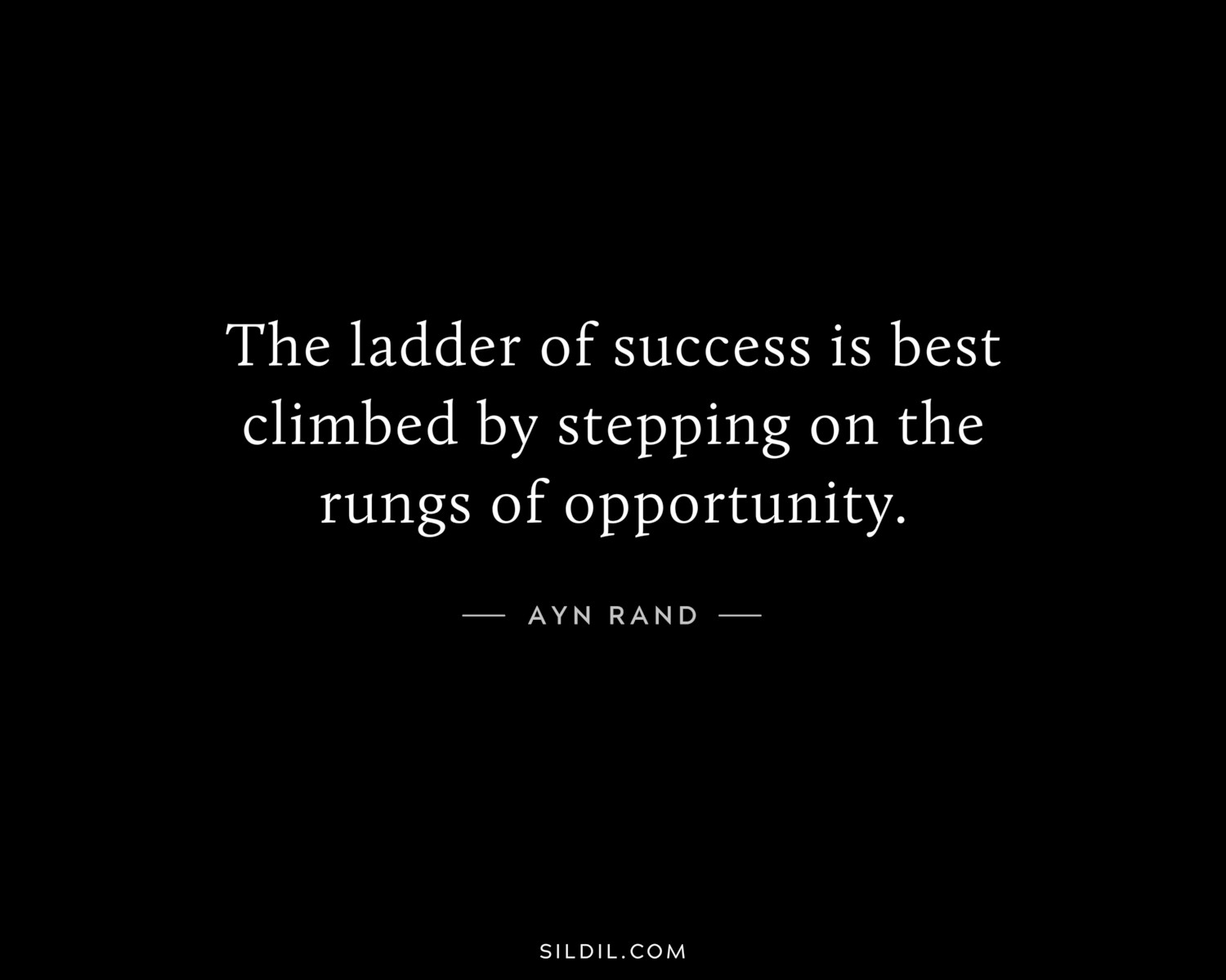 The ladder of success is best climbed by stepping on the rungs of opportunity.