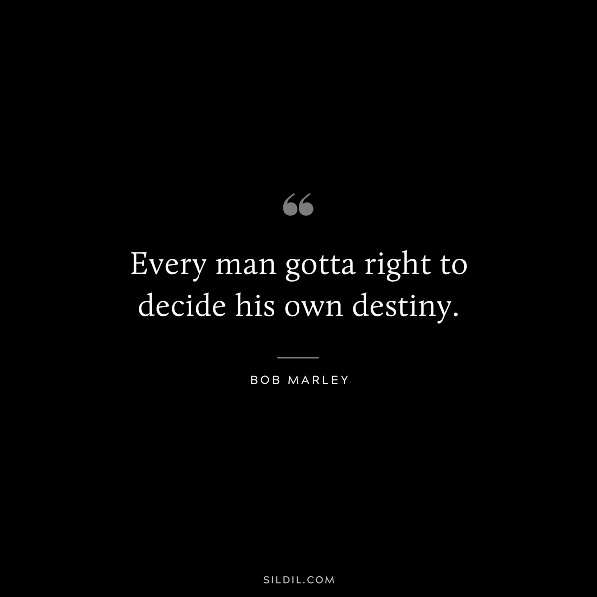 Every man gotta right to decide his own destiny. ― Bob Marley