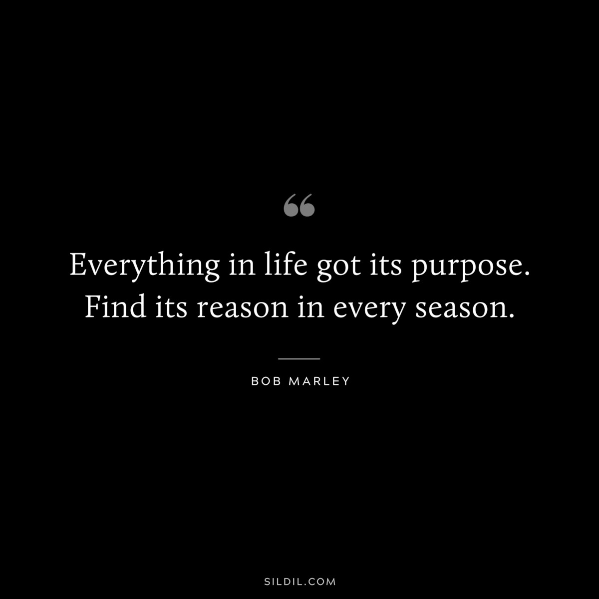 Everything in life got its purpose. Find its reason in every season. ― Bob Marley
