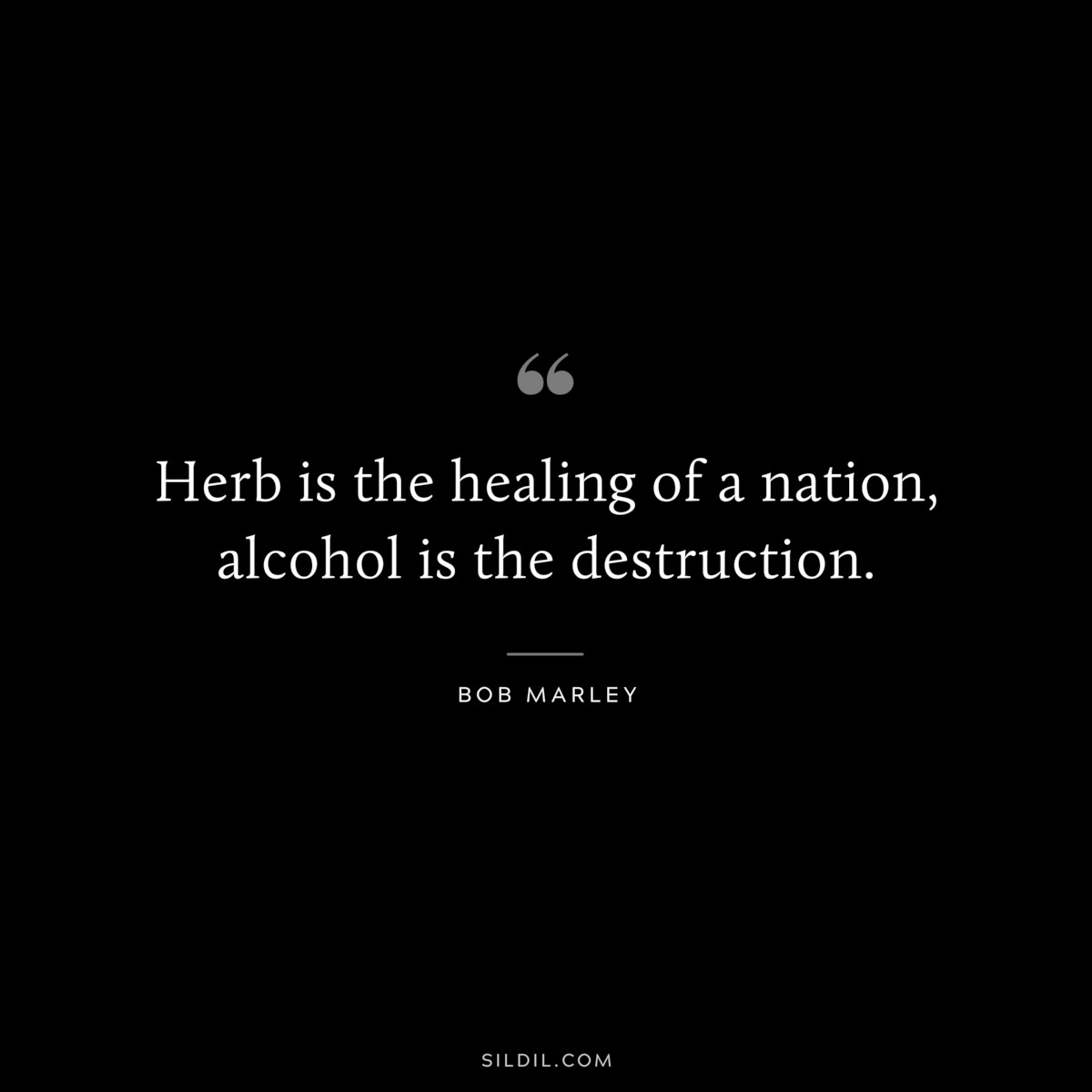 Herb is the healing of a nation, alcohol is the destruction. ― Bob Marley