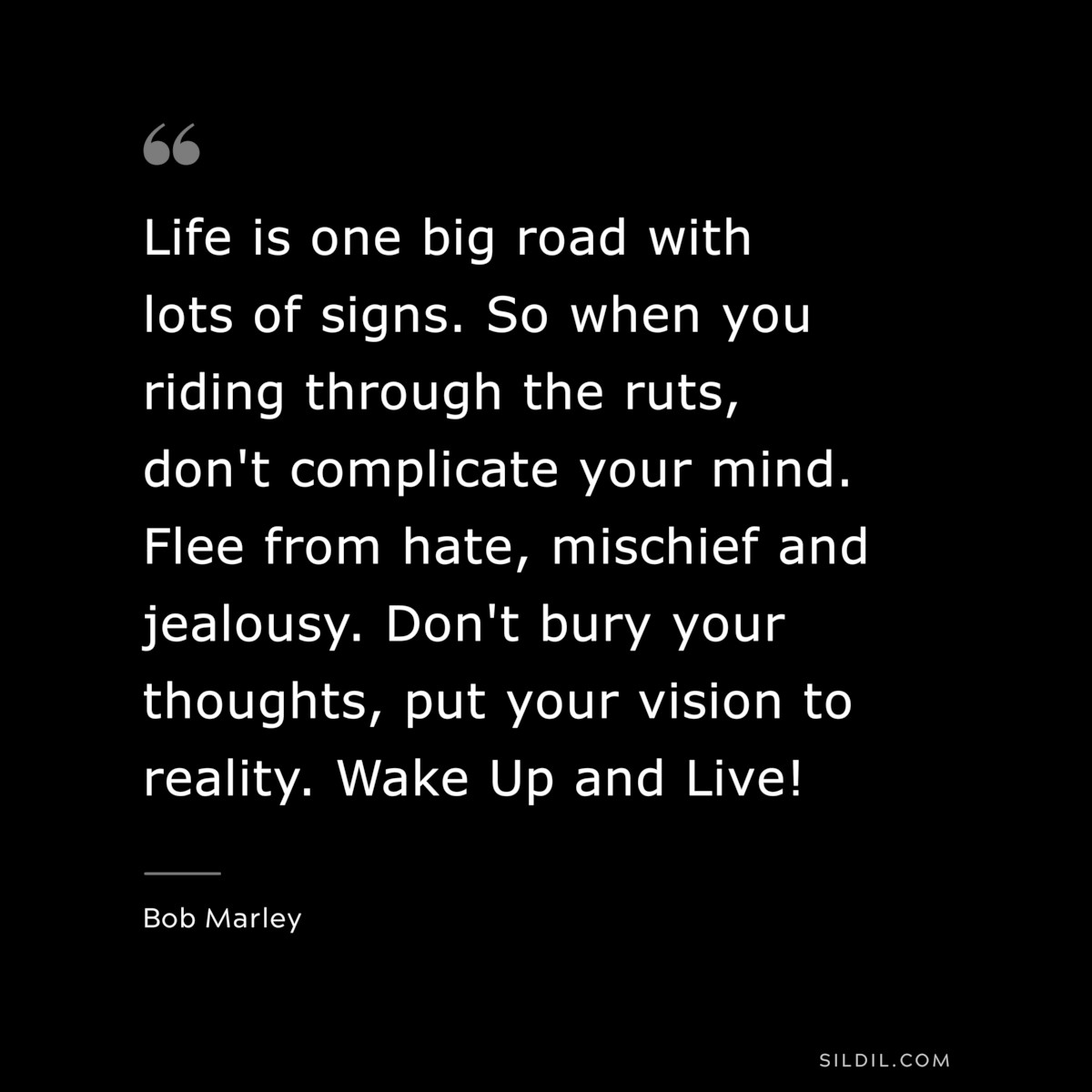 Life is one big road with lots of signs. So when you riding through the ruts, don't complicate your mind. Flee from hate, mischief and jealousy. Don't bury your thoughts, put your vision to reality. Wake Up and Live! ― Bob Marley