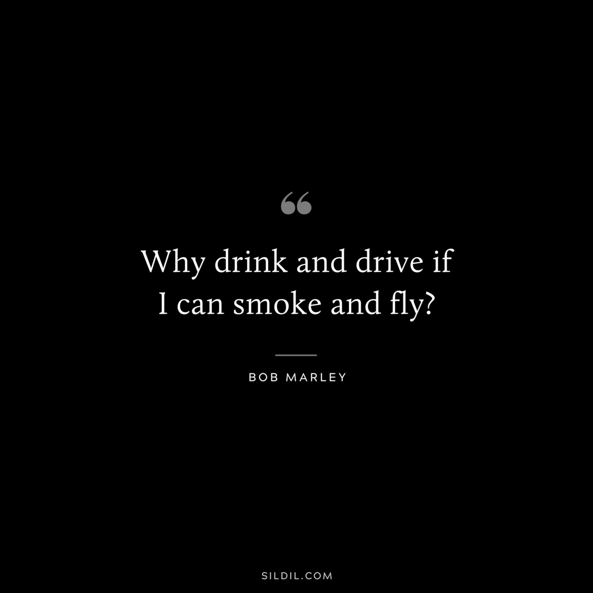 Why drink and drive if I can smoke and fly? ― Bob Marley