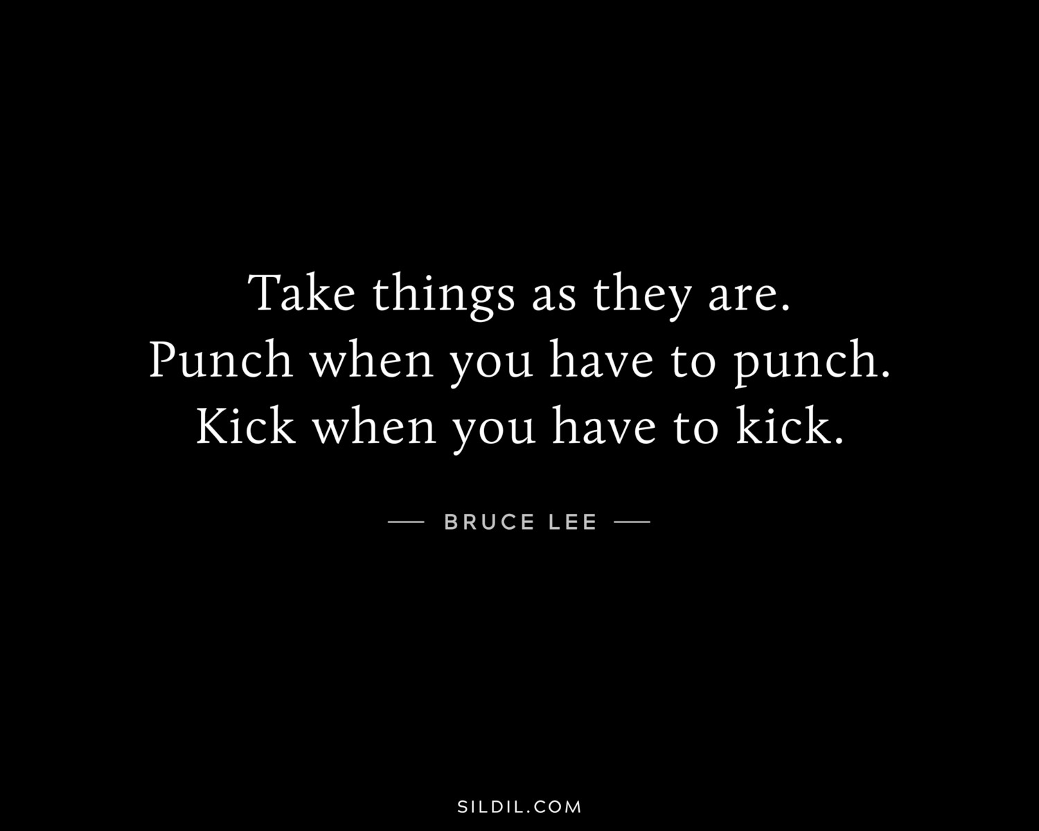 Take things as they are. Punch when you have to punch. Kick when you have to kick.