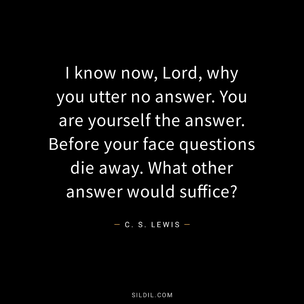 I know now, Lord, why you utter no answer. You are yourself the answer. Before your face questions die away. What other answer would suffice?
