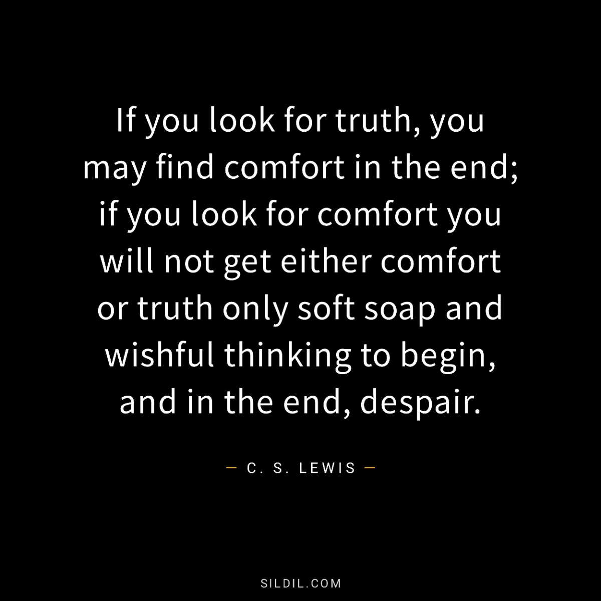 If you look for truth, you may find comfort in the end; if you look for comfort you will not get either comfort or truth only soft soap and wishful thinking to begin, and in the end, despair.