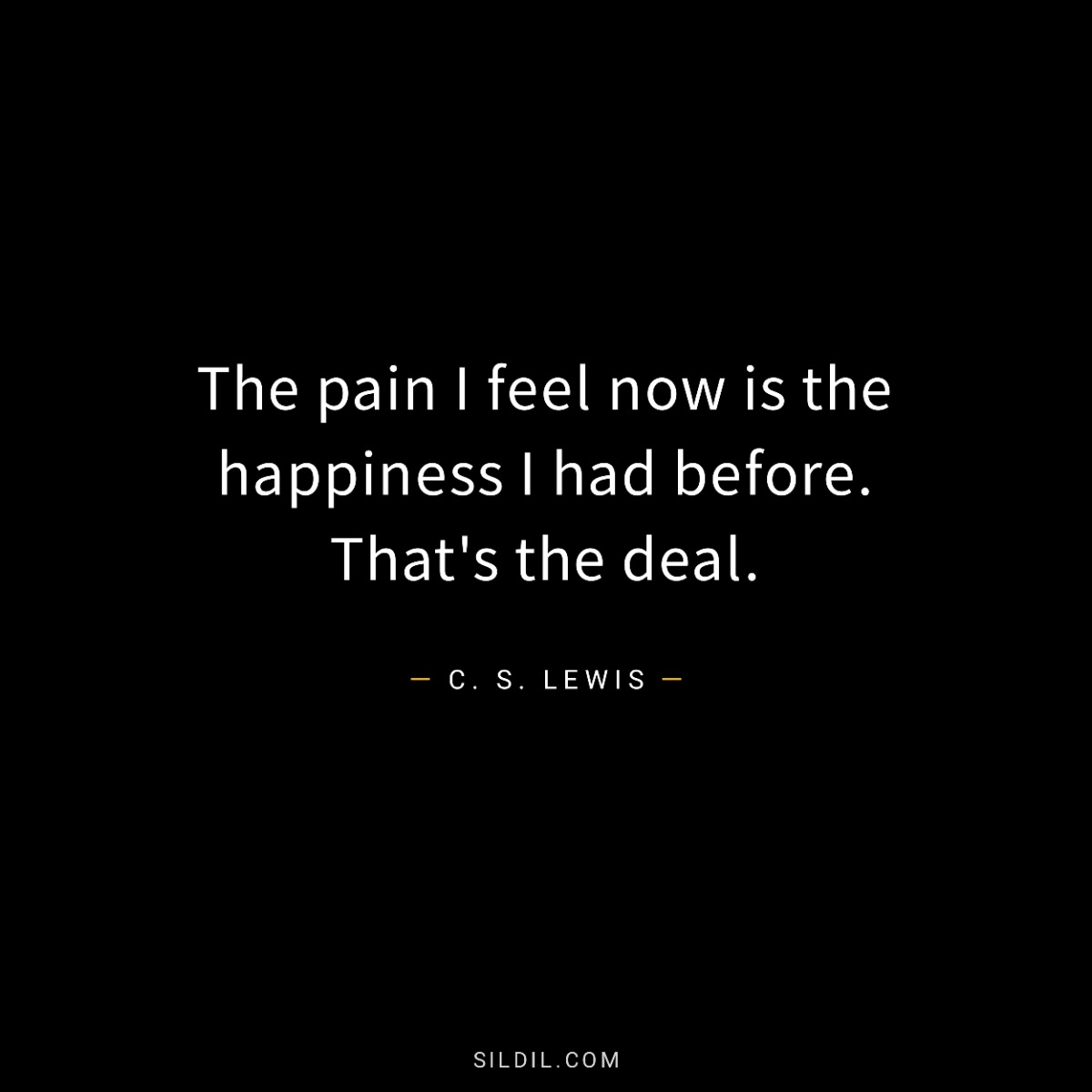 The pain I feel now is the happiness I had before. That's the deal.