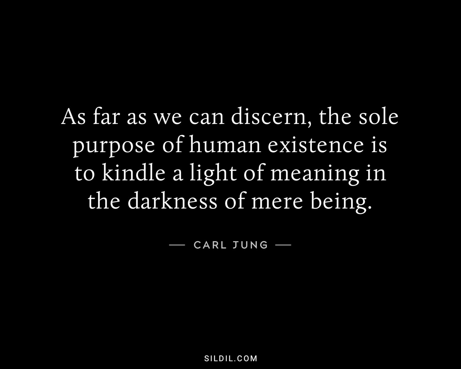 As far as we can discern, the sole purpose of human existence is to kindle a light of meaning in the darkness of mere being.