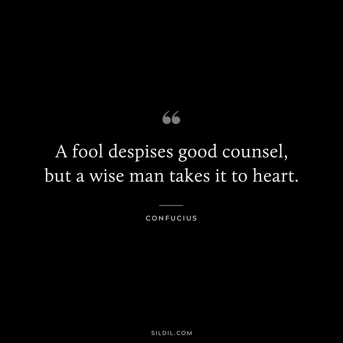 A fool despises good counsel, but a wise man takes it to heart. ― Confucius