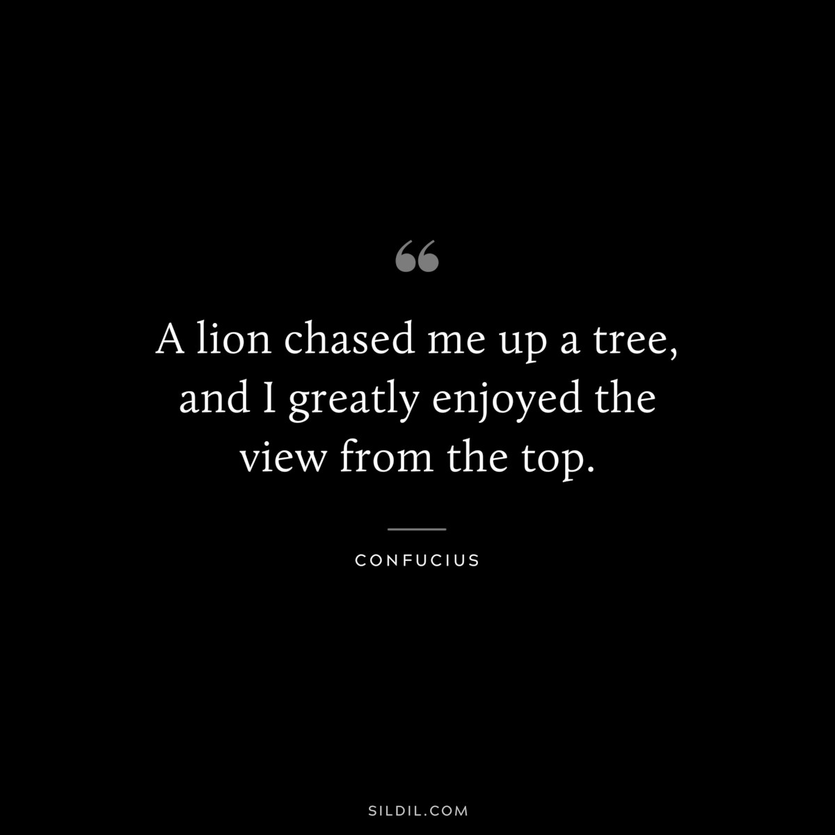 A lion chased me up a tree, and I greatly enjoyed the view from the top. ― Confucius