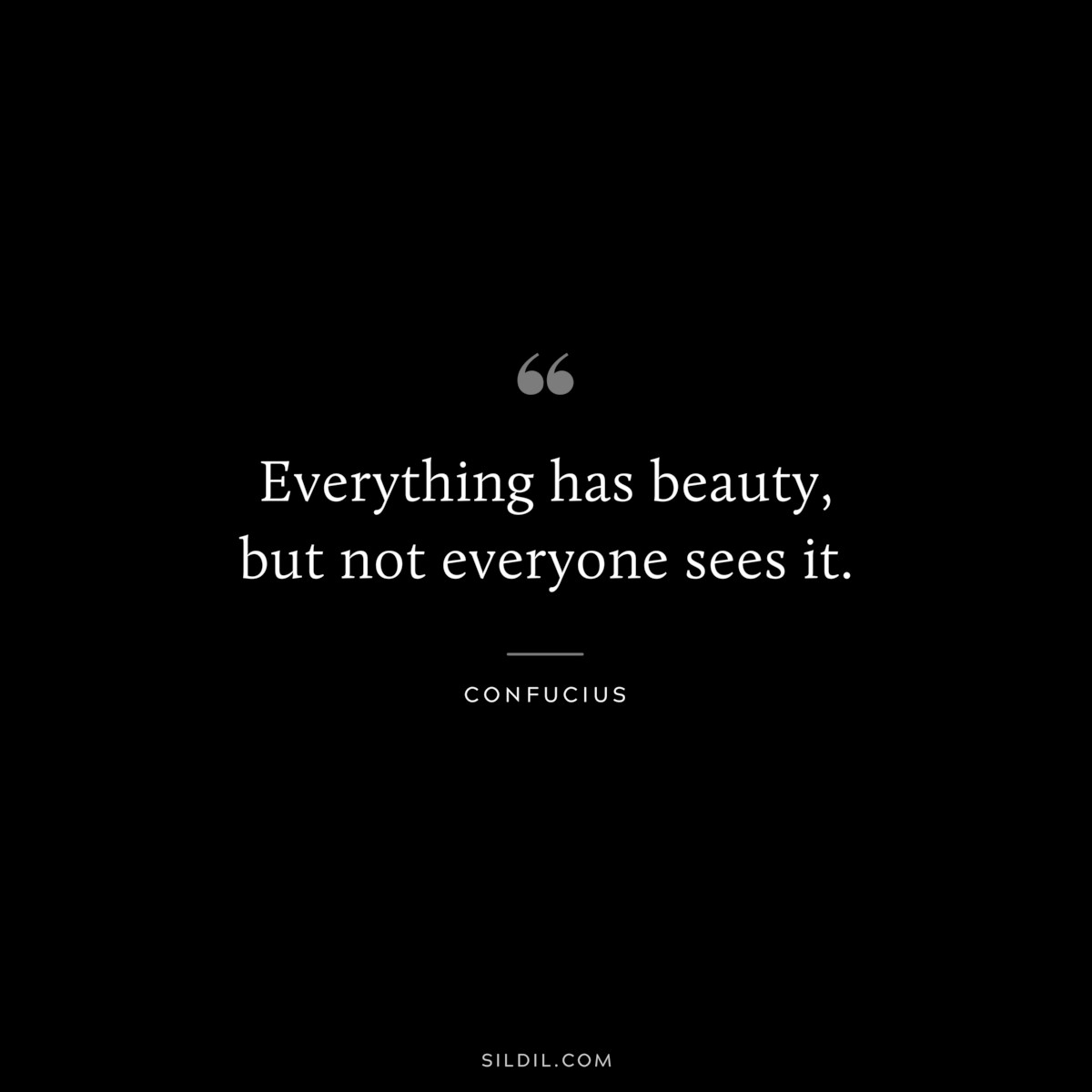 Everything has beauty, but not everyone sees it. ― Confucius