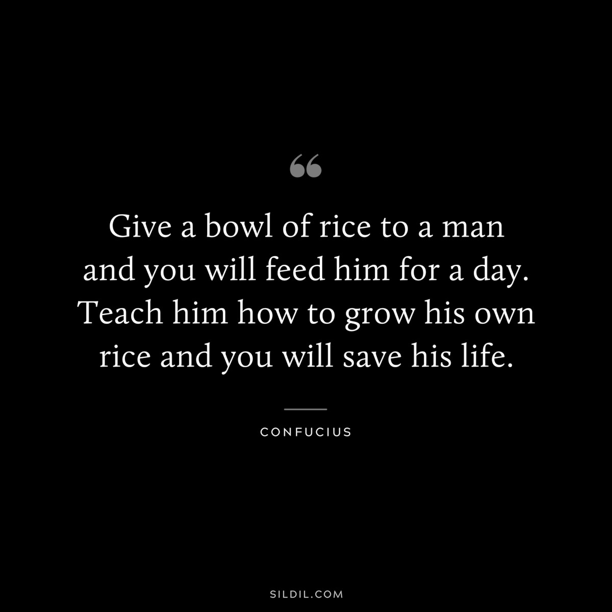 Give a bowl of rice to a man and you will feed him for a day. Teach him how to grow his own rice and you will save his life. ― Confucius