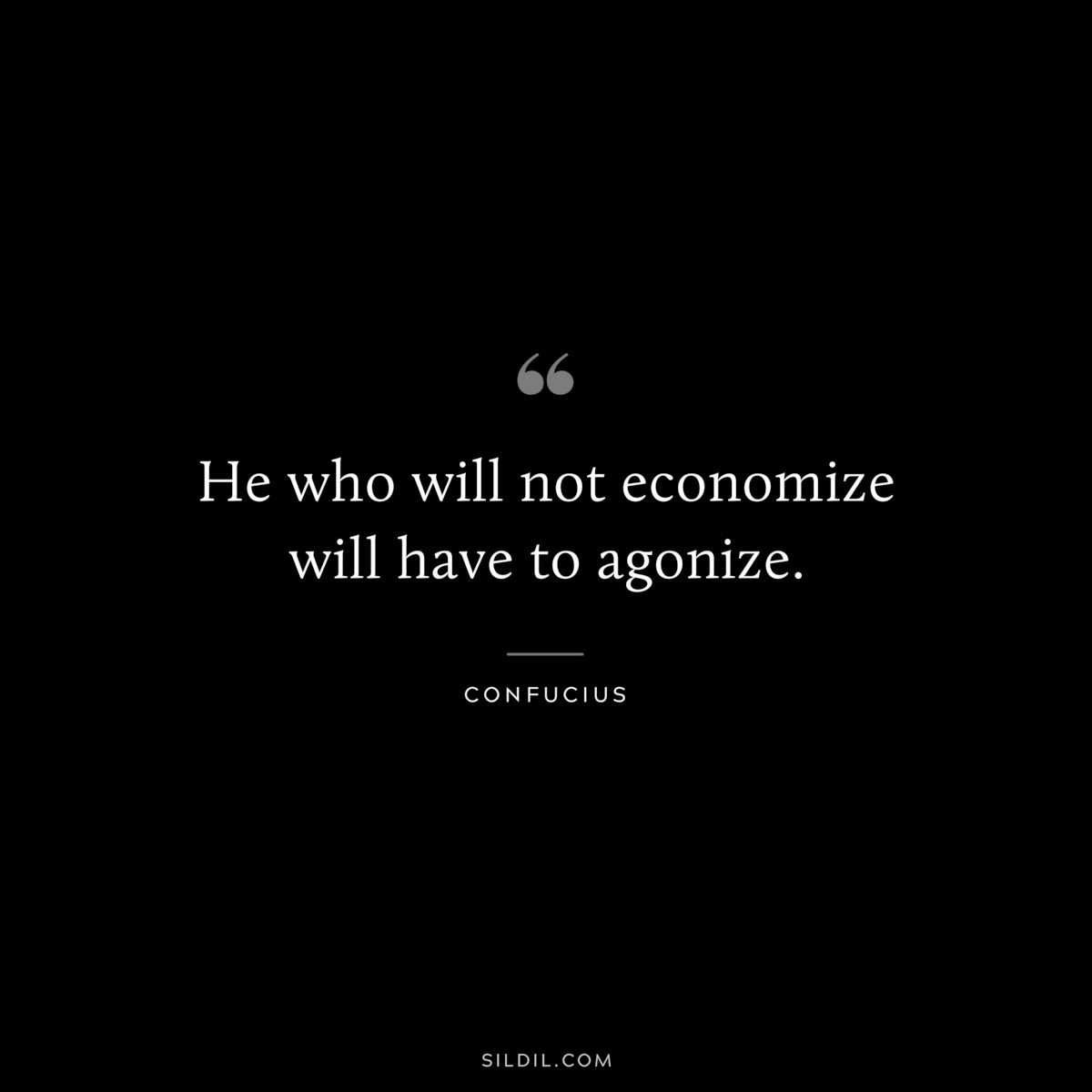 He who will not economize will have to agonize. ― Confucius