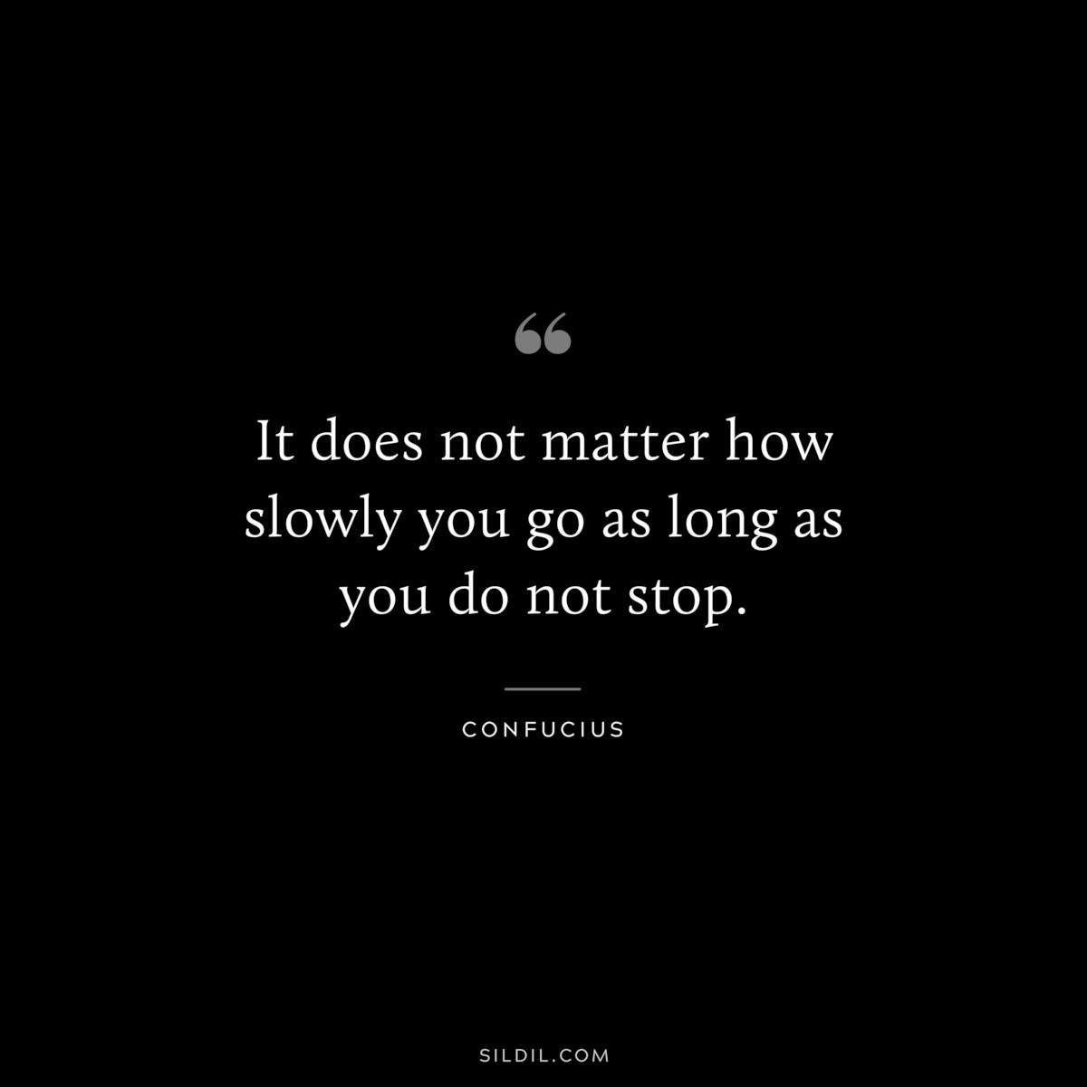 It does not matter how slowly you go as long as you do not stop. ― Confucius