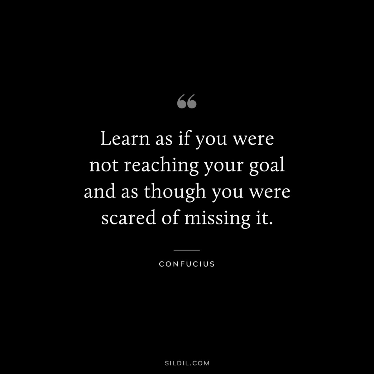 Learn as if you were not reaching your goal and as though you were scared of missing it. ― Confucius