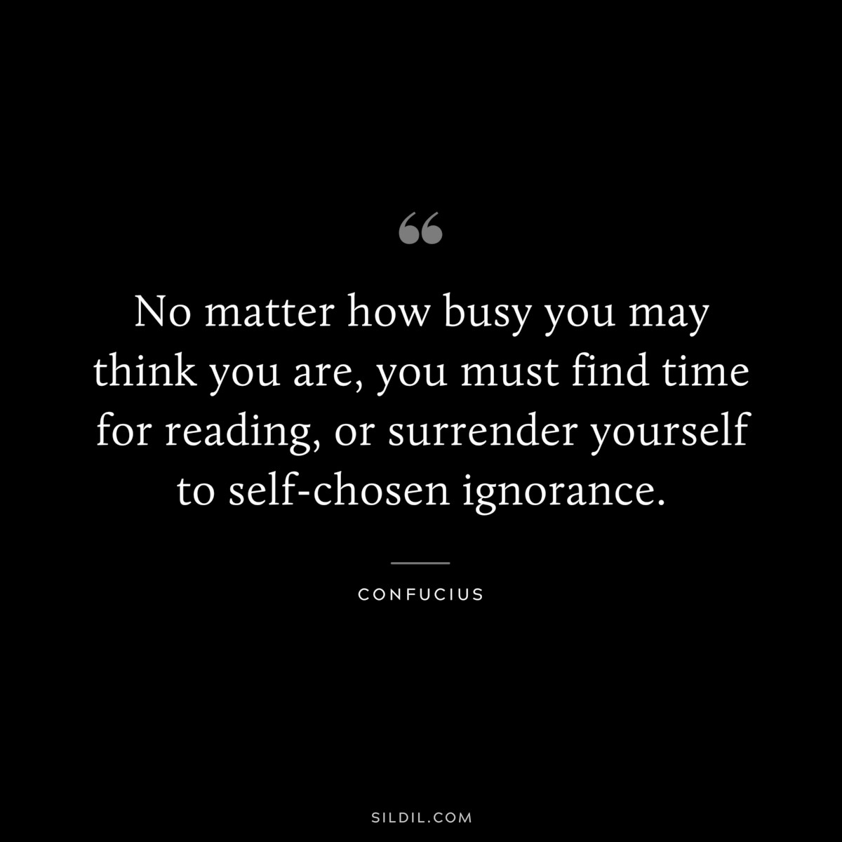 No matter how busy you may think you are, you must find time for reading, or surrender yourself to self-chosen ignorance. ― Confucius