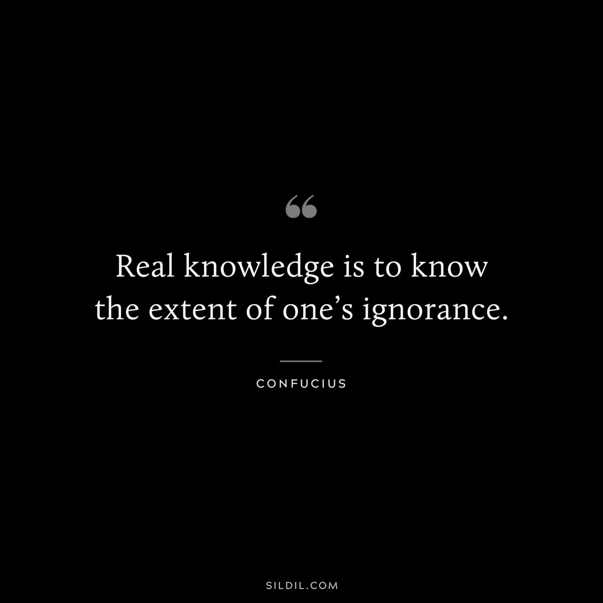 Real knowledge is to know the extent of one’s ignorance. ― Confucius