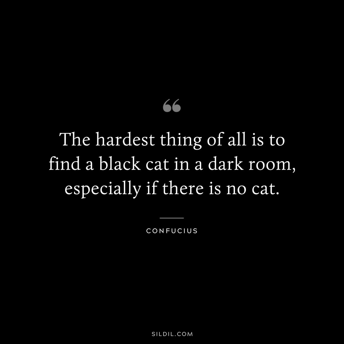 The hardest thing of all is to find a black cat in a dark room, especially if there is no cat. ― Confucius