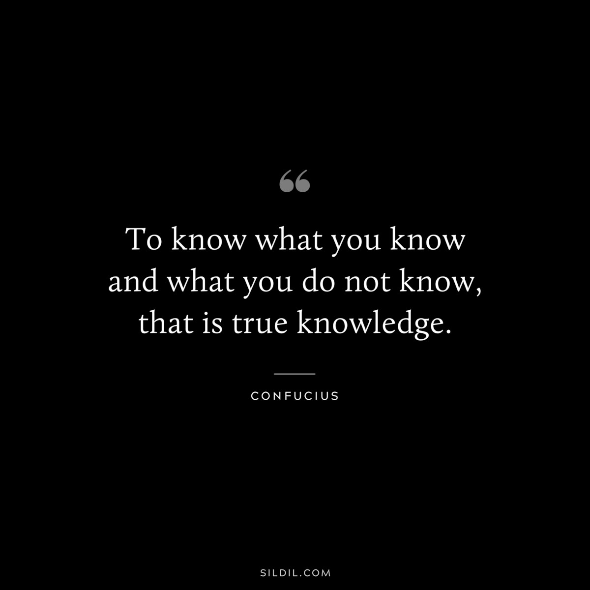 To know what you know and what you do not know, that is true knowledge. ― Confucius