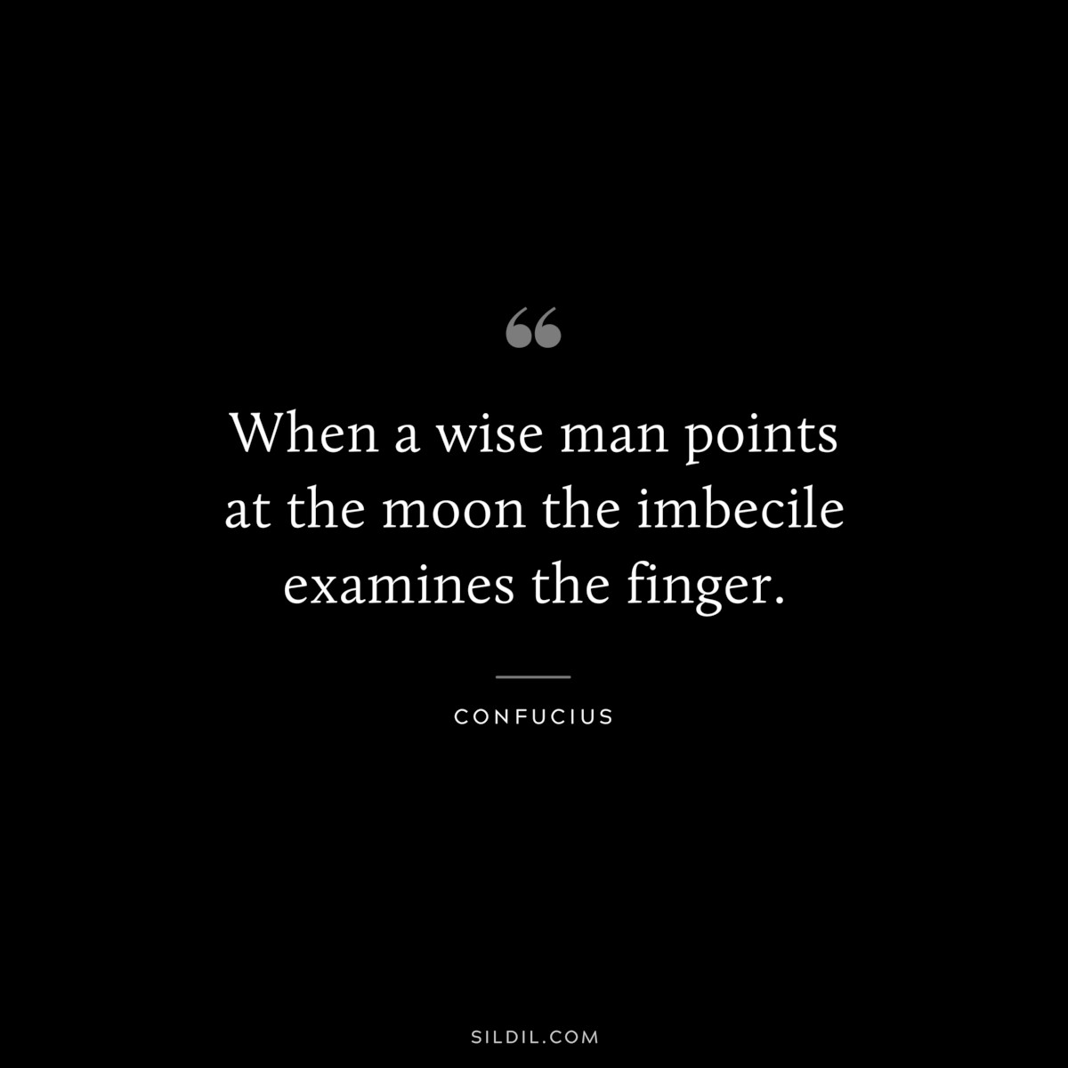 When a wise man points at the moon the imbecile examines the finger. ― Confucius
