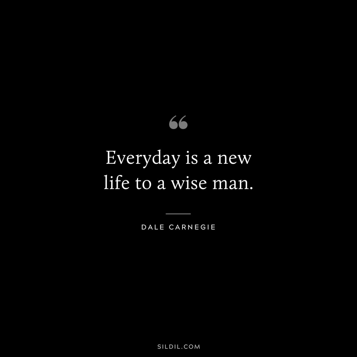 Everyday is a new life to a wise man.― Dale Carnegie