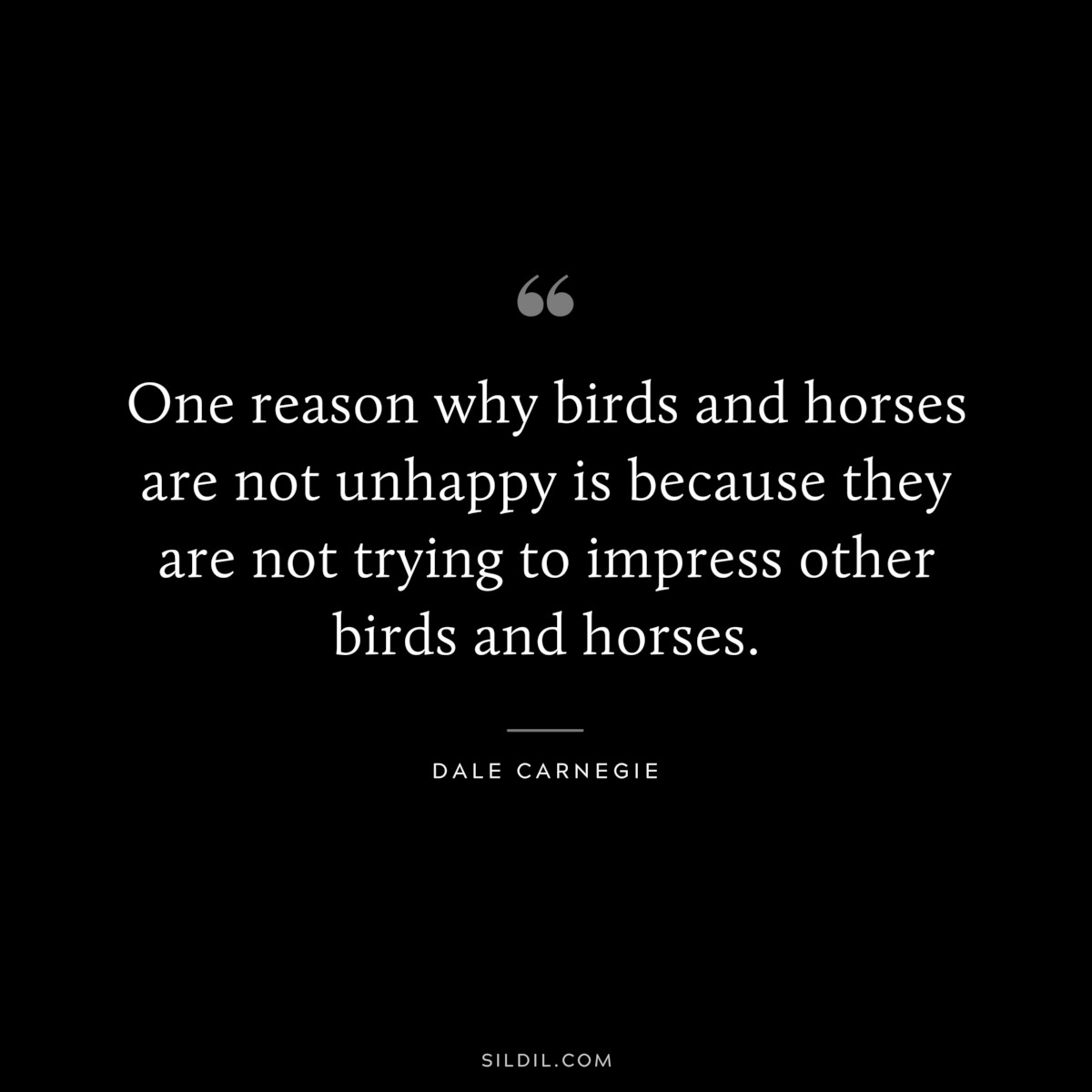 One reason why birds and horses are not unhappy is because they are not trying to impress other birds and horses.― Dale Carnegie