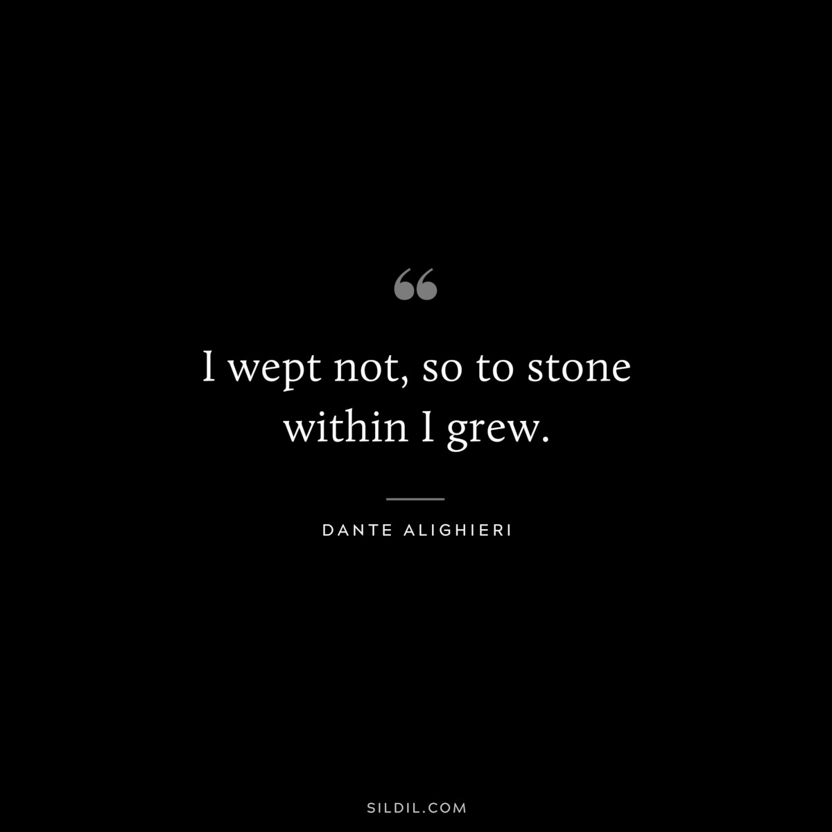 I wept not, so to stone within I grew. ― Dante Alighieri