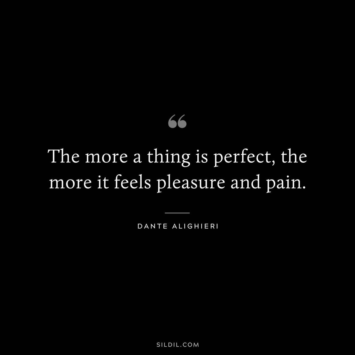 The more a thing is perfect, the more it feels pleasure and pain. ― Dante Alighieri